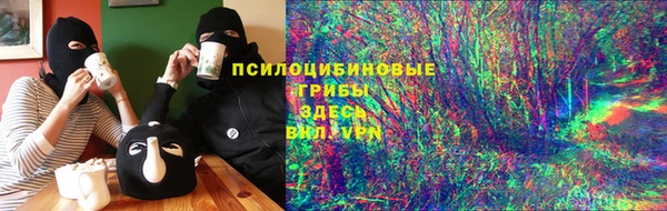 твердый Бронницы