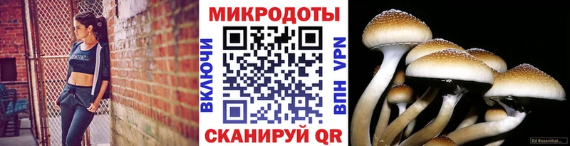 где можно купить наркотик  Ворсма  Псилоцибиновые грибы MAGIC MUSHROOMS 